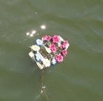 Четвертый человек утонул на Журавлевском водохранилище
