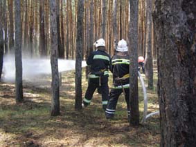 Сухая и жаркая погода способствует развитию лесных и степных пожаров