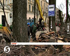 В Харькове рубят деревья