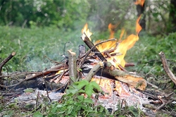 В харьковских лесах начался пожароопасный период