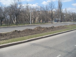Харьковские власти воюют с деревьями?