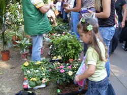 Цветочная выставка открылась в саду Шевченко