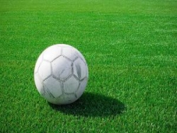 Эксперты УЕФА проинспектировали футбольные поля в Харькове