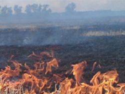 10 гектаров кукурузы сгорело под Красноградом