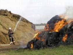 350 тонн сена сгорело в Великобурлукском районе