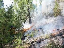 Наивысший уровень пожароопасности объявлен на Харьковщине