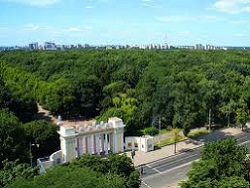В парке Горького снова будут рубить деревья