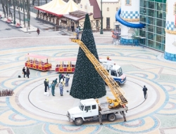 В парке им. Горького монтируют десятиметровую елку
