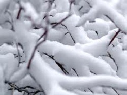 Мокрый снег с дождем на Новый год сулят украинцам синоптики