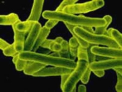 В харьковской семье трое детей заразились туберкулезом от родителей