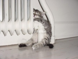 Отопление в жилых домах Харькова обещают включить в пятницу