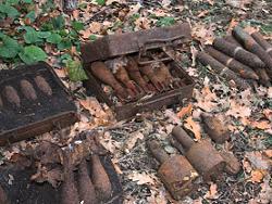 На Харьковщине в лесу нашли бомбы и мины