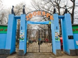 Животным харьковского зоопарка не хватает денег на еду