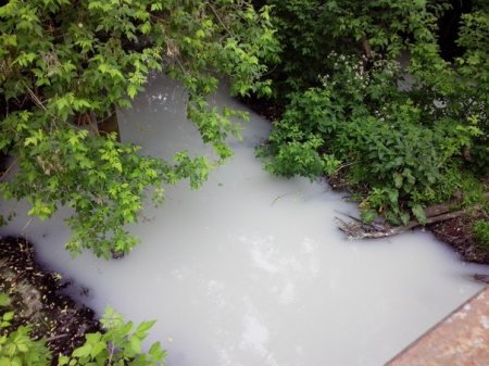 Харьковчане говорят о загрязнении еще одной реки (ФОТО)
