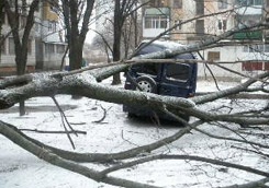 Снежная ночь в Харькове - поломанные деревья, аварии и оборванные провода