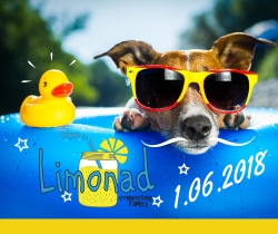 В Харькове пройдет семейный праздник "Limonad Fest"