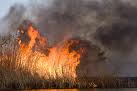 Основные очаги пожаров локализовались в Волчанском районе