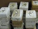 Управление СБ Украины в Харьковской области расследует дело о поставке кокаина в Украину