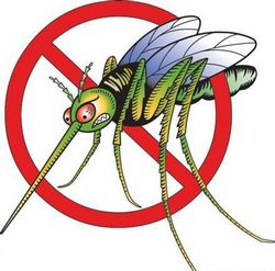 Трое харьковчан заразились малярией от комаров