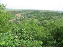 В Харькове планируют создать ландшафтный парк «Сокольники-Померки» - на месте Лесопарка