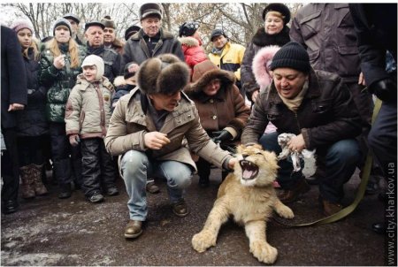 Харьковскому зоопарку подарили львенка Ричи (+ фото)