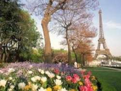 «Французская весна» в Харькове стартует 5 апреля
