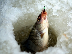 На Харьковщине спали рыбака, провалившегося под лед