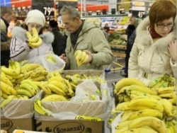 В супермаркеты Польши попали бананы с кокаином