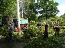 Вчера в Харькове буря повалила 11 деревьев