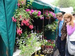 Выставка цветов открылась в саду Шевченко