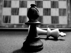 Харьковская школьница обыграла в шахматы всю Европу