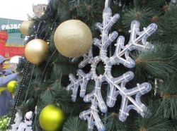 В парке Горького установили новогоднюю елку (фото)