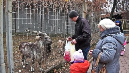 Спасти животных: как жители Харькова зоопарку помогали. ФОТО