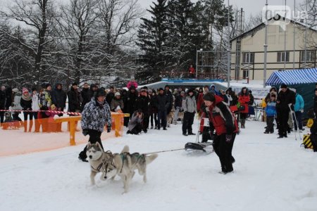 В Харькове прошли соревнования по езде на собачьих упряжках (ФОТО+ВИДЕО)