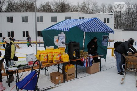 В Харькове прошли соревнования по езде на собачьих упряжках (ФОТО+ВИДЕО)