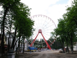 Конец лета в парке Горького отметят диско-марафоном, йога-марафоном и гастрономическим фестивалем