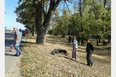 Столкновение автобуса и мотоцикла: погиб человек (фото)