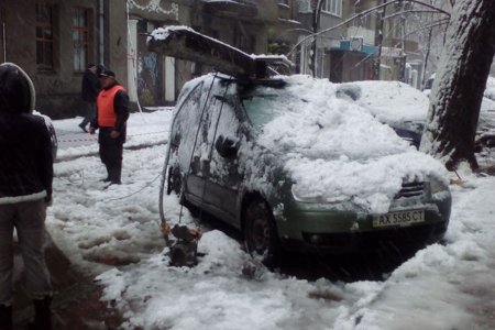 Снежная ночь в Харькове - поломанные деревья, аварии и оборванные провода