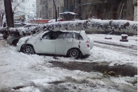 Снежная ночь в Харькове - поломанные деревья, аварии и оборванные провода