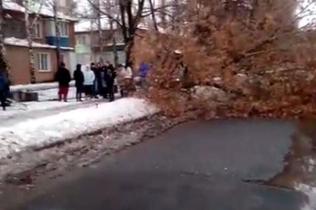 Под Харьковом люди заблокировали дорогу, требуя вернуть свет (фото)