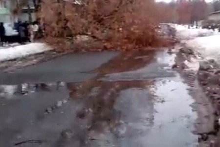 Под Харьковом люди заблокировали дорогу, требуя вернуть свет (фото)