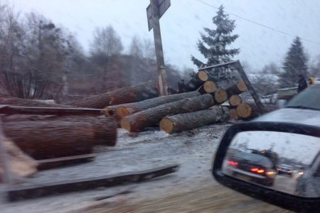 Под Харьковом перевернулся грузовик с бревнами (фото)