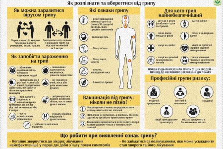 Как не заразиться гриппом: инфографика