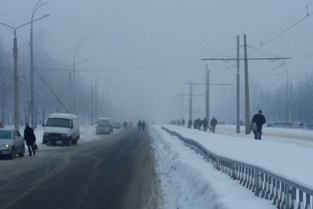 На Алексеевке не ходили троллейбусы (фото)