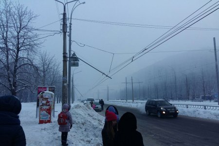 На Алексеевке не ходили троллейбусы (фото)