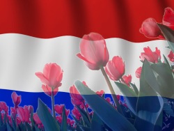 Премьер Нидерландов заверил Порошенко в поддержке предоставления безвизового режима для Украины