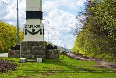 В Лесопарке начали строить велодорожку (фото)