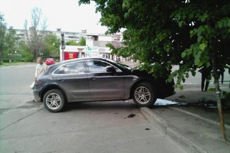 Porsche влетел в дерево (фото)