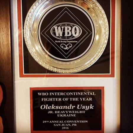 Украинца Усика признали боксером года по версии WBO