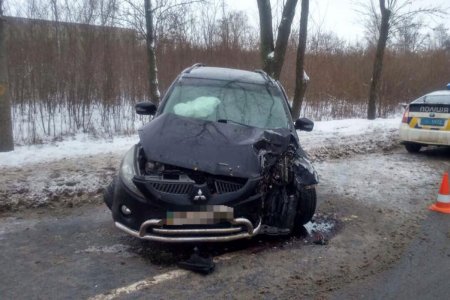 На Рогани Mitsubishi врезался в дерево, есть пострадавшие